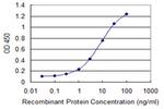 LGR4 Antibody in ELISA (ELISA)