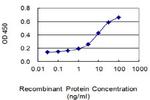 BMP2K Antibody in ELISA (ELISA)