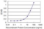 KIF16B Antibody in ELISA (ELISA)