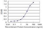 POLR3B Antibody in ELISA (ELISA)