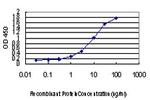 CHFR Antibody in ELISA (ELISA)