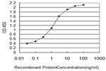 NUP133 Antibody in ELISA (ELISA)