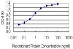 ASH1L Antibody in ELISA (ELISA)