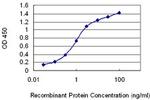 MESP1 Antibody in ELISA (ELISA)