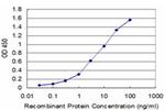 BARX1 Antibody in ELISA (ELISA)