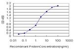 BARX1 Antibody in ELISA (ELISA)