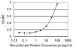 LHX9 Antibody in ELISA (ELISA)