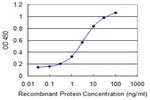 SLC44A2 Antibody in ELISA (ELISA)