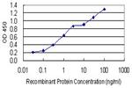 GJD2 Antibody in ELISA (ELISA)