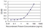 SEMA6A Antibody in ELISA (ELISA)