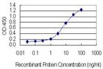 KIF17 Antibody in ELISA (ELISA)