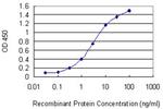 CPNE5 Antibody in ELISA (ELISA)