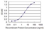 TFB2M Antibody in ELISA (ELISA)