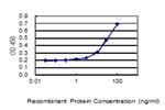 NSD1 Antibody in ELISA (ELISA)