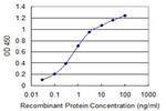 WNK4 Antibody in ELISA (ELISA)