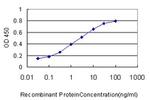 WNK3 Antibody in ELISA (ELISA)