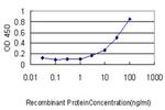 GSDMD Antibody in ELISA (ELISA)