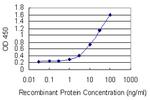 RBP5 Antibody in ELISA (ELISA)