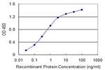 MCM8 Antibody in ELISA (ELISA)