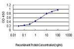 FBXL10 Antibody in ELISA (ELISA)