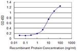 KIR3DX1 Antibody in ELISA (ELISA)