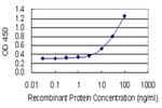 KIR3DX1 Antibody in ELISA (ELISA)