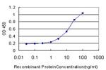 XRCC6BP1 Antibody in ELISA (ELISA)