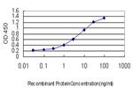 NALP12 Antibody in ELISA (ELISA)