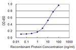 EGLN2 Antibody in ELISA (ELISA)