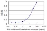 TUBGCP5 Antibody in ELISA (ELISA)