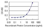 SLC26A9 Antibody in ELISA (ELISA)