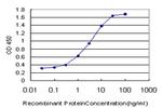 RASGRP4 Antibody in ELISA (ELISA)