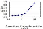 TWIST2 Antibody in ELISA (ELISA)