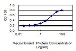 EMB Antibody in ELISA (ELISA)