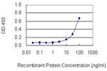 MTPN Antibody in ELISA (ELISA)