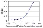 AMOT Antibody in ELISA (ELISA)