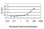 ARX Antibody in ELISA (ELISA)