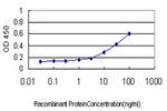 ARX Antibody in ELISA (ELISA)