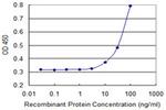 EIF2C4 Antibody in ELISA (ELISA)