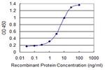 PIP5K3 Antibody in ELISA (ELISA)