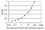 ATP6V0D2 Antibody in ELISA (ELISA)