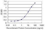 STXBP4 Antibody in ELISA (ELISA)