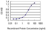 NPAS4 Antibody in ELISA (ELISA)