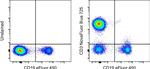 CD3 Antibody in Flow Cytometry (Flow)