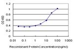 SLC26A5 Antibody in ELISA (ELISA)