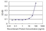 SLC27A1 Antibody in ELISA (ELISA)