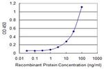 MAFA Antibody in ELISA (ELISA)