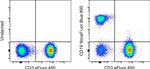 CD19 Antibody in Flow Cytometry (Flow)