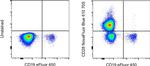 CD28 Antibody in Flow Cytometry (Flow)