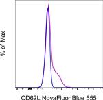 CD62L (L-Selectin) Antibody in Flow Cytometry (Flow)